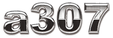 a307 logo